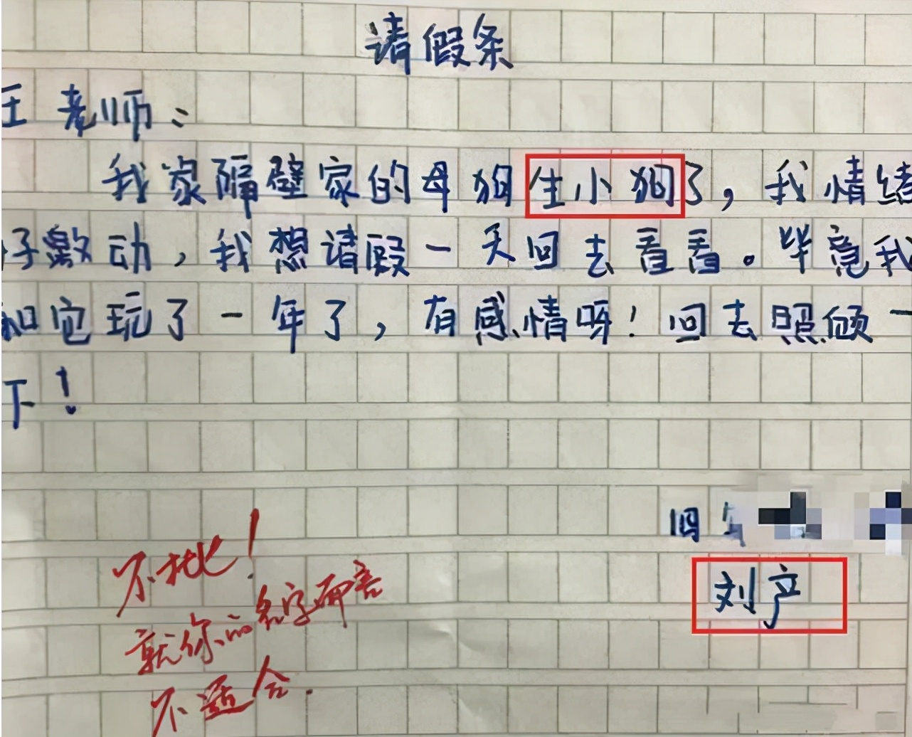 理由很简单,因为邻居家生小狗了,重点是"我情绪好激动",想请假一天