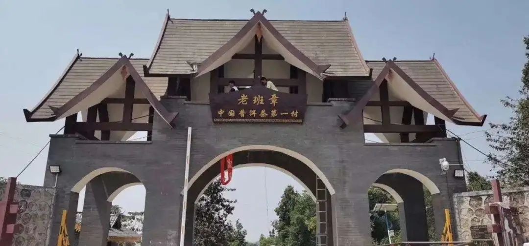 都说“班章为王”，怎样选到真正的老班章普洱茶？要选飞天揽月