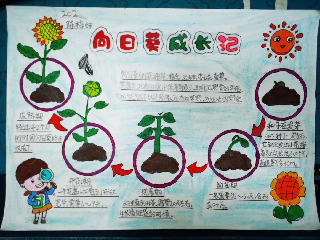 张槎有个“绿色学校”，学生用实际行动妆点美丽校园→