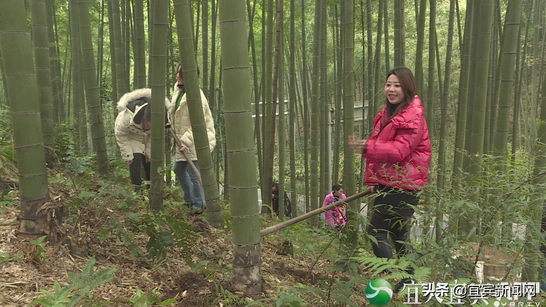 干货分享！来蜀南竹海旅游度假区，这份“吃玩住”攻略要收藏