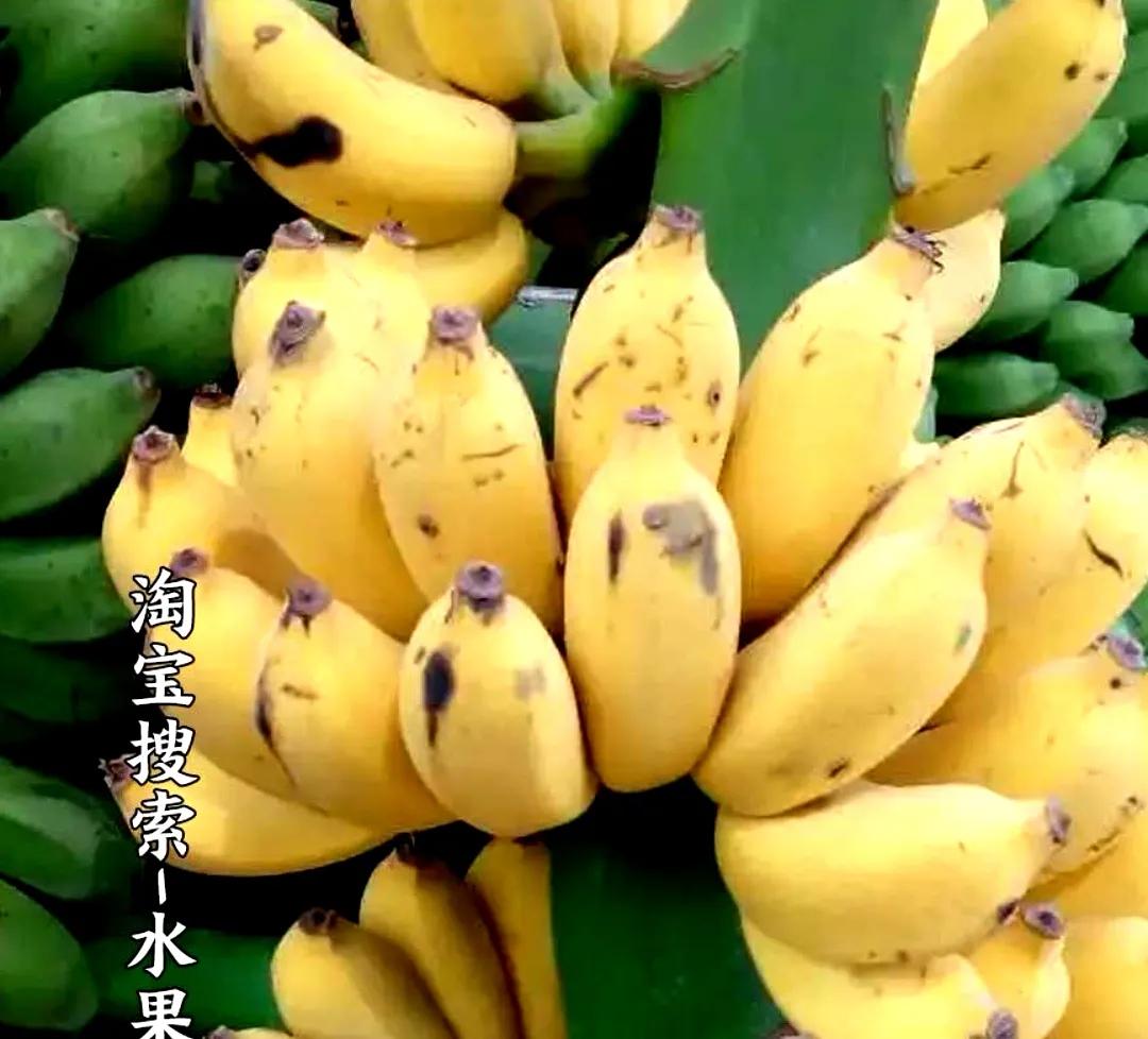 起诉状等法律文书小大全