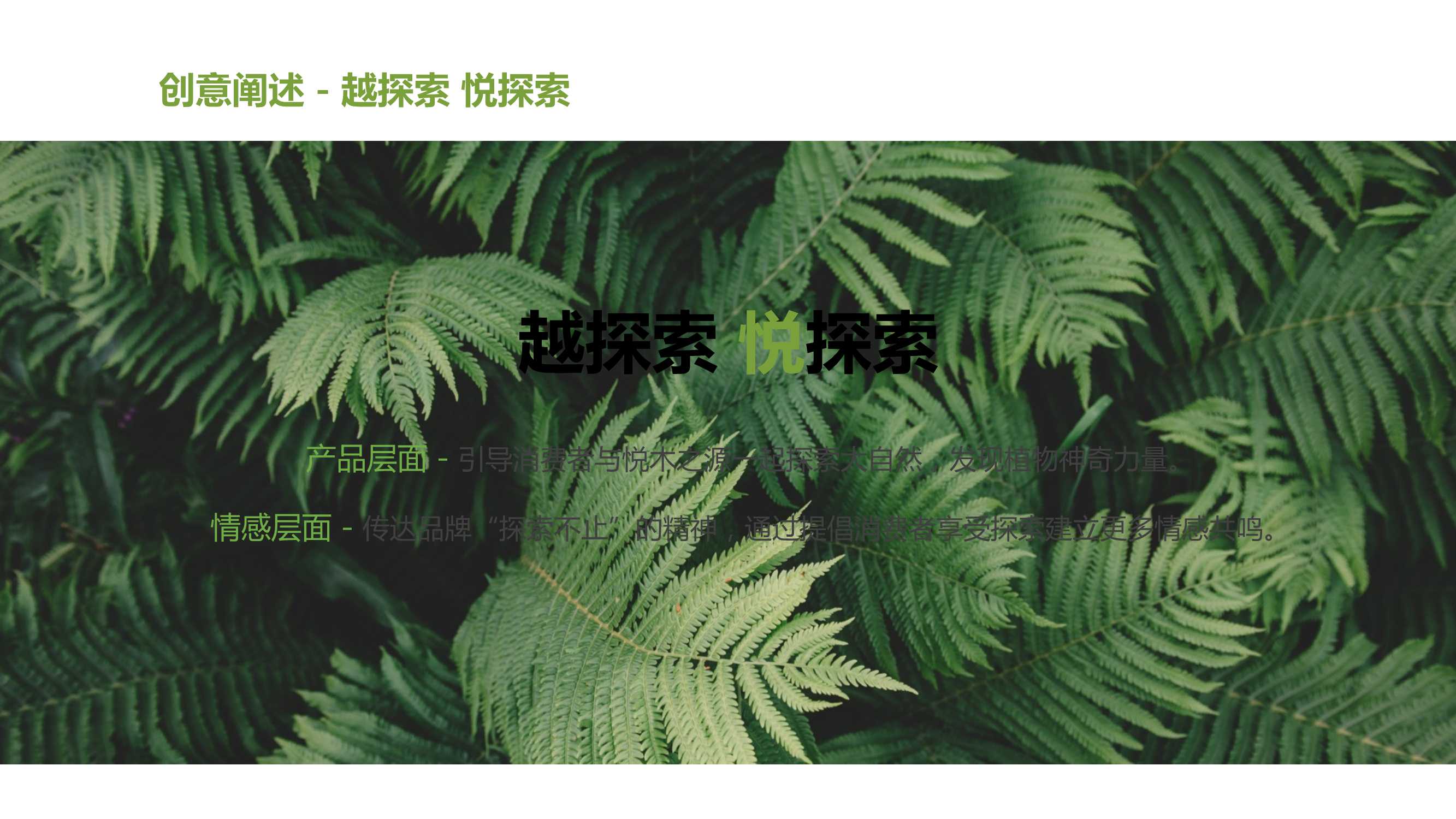 韦博士灵芝焕能精华水品牌传播案「PPT」