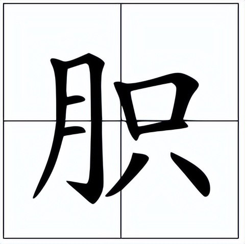 胑怎么读？胑的读音和意思