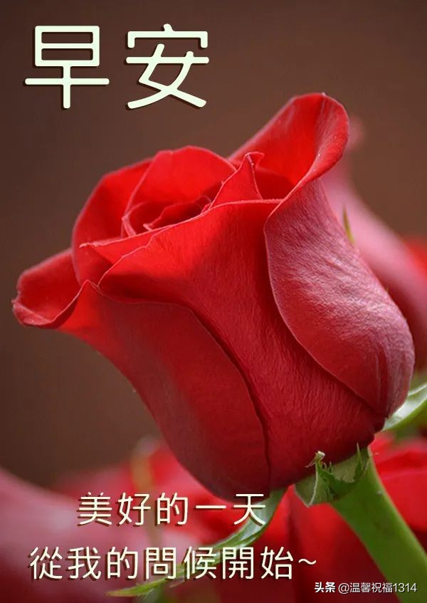 4月26日清晨早上好问候寄语,愿天天好心情快乐每一天!事事顺心