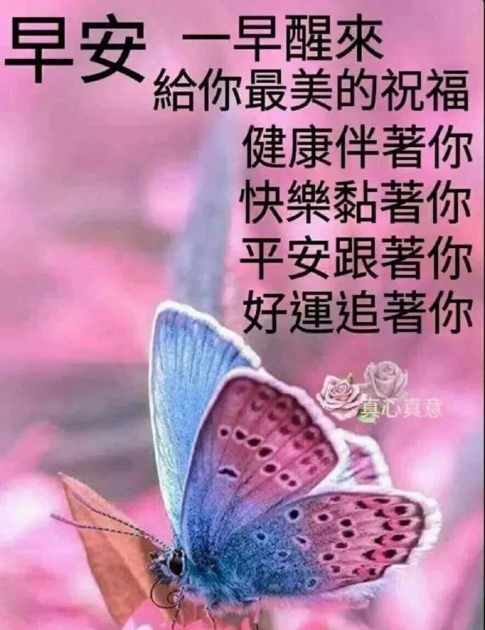 阳光唯美的周末早晨好图片大祝福大全 友情无价，祝福友人健康开心