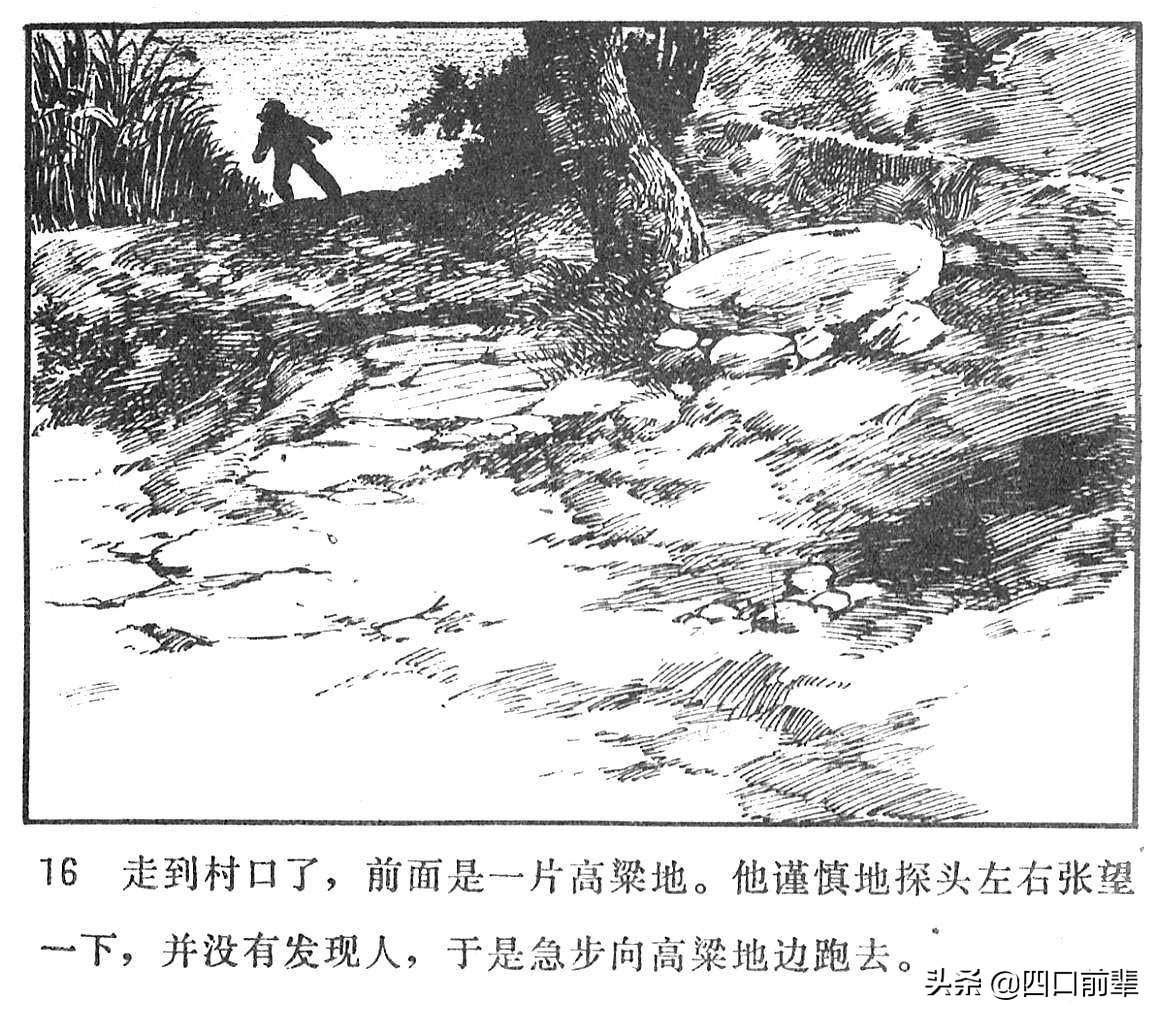 大虎和二虎 天津人民美术出版社 四口前辈 连环画 80后的回忆