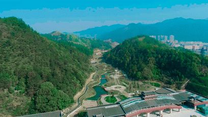 收藏！莲都春游好去处都在这里了