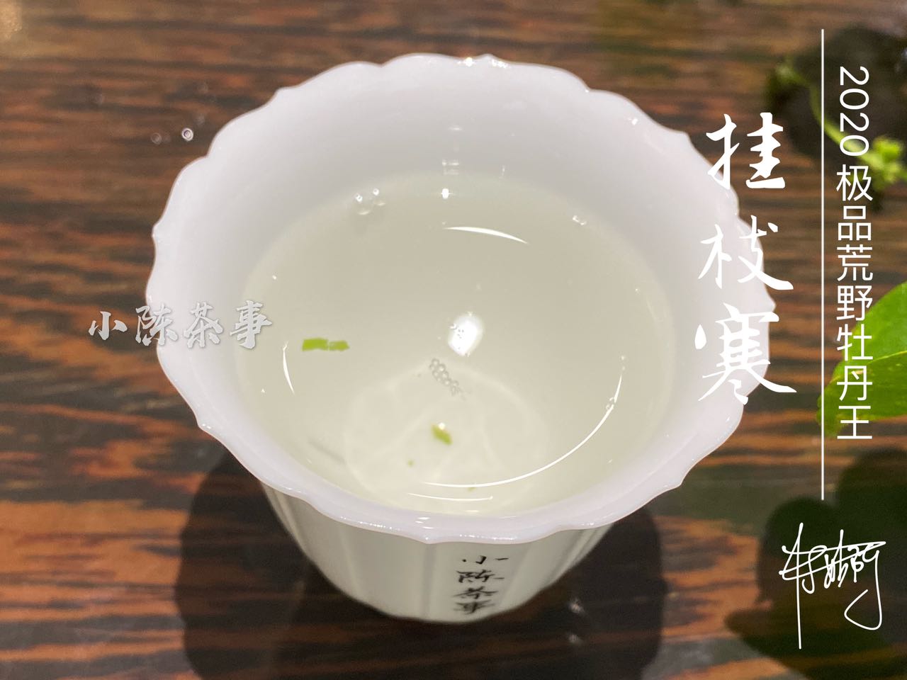 几千元的茶叶，买？还是不买？绿茶、白茶、红茶都是越贵越好吗？