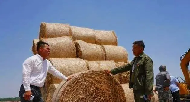 农民变身“经纪人”,秸秆囤1年就能赚600万?看懂的提前行动