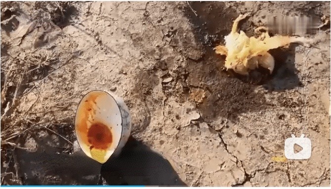 14年前他背“疯娘”求学，拒绝55万年薪，如今改变千名学子命运