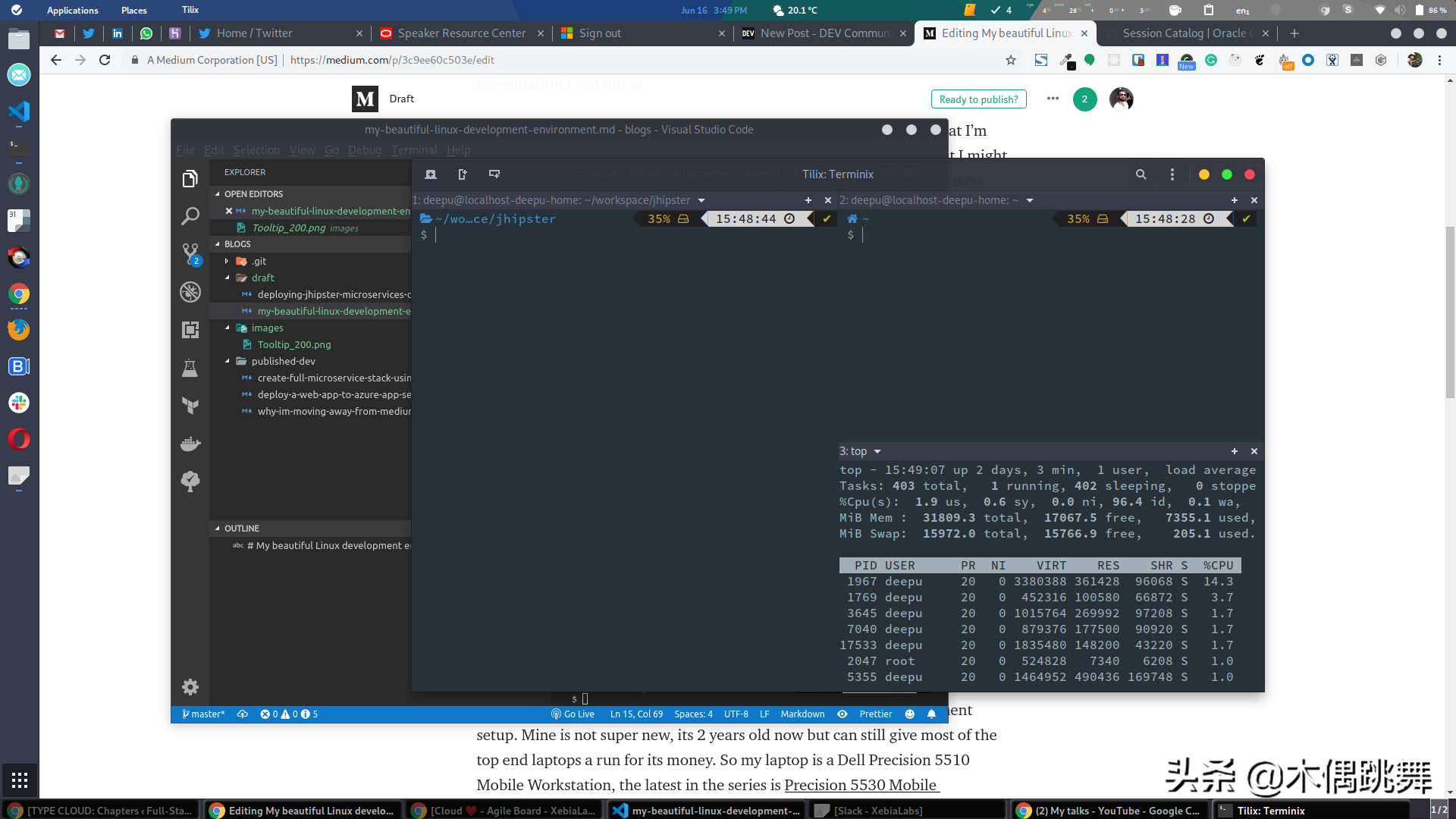 我的漂亮的 Linux 開發環境
