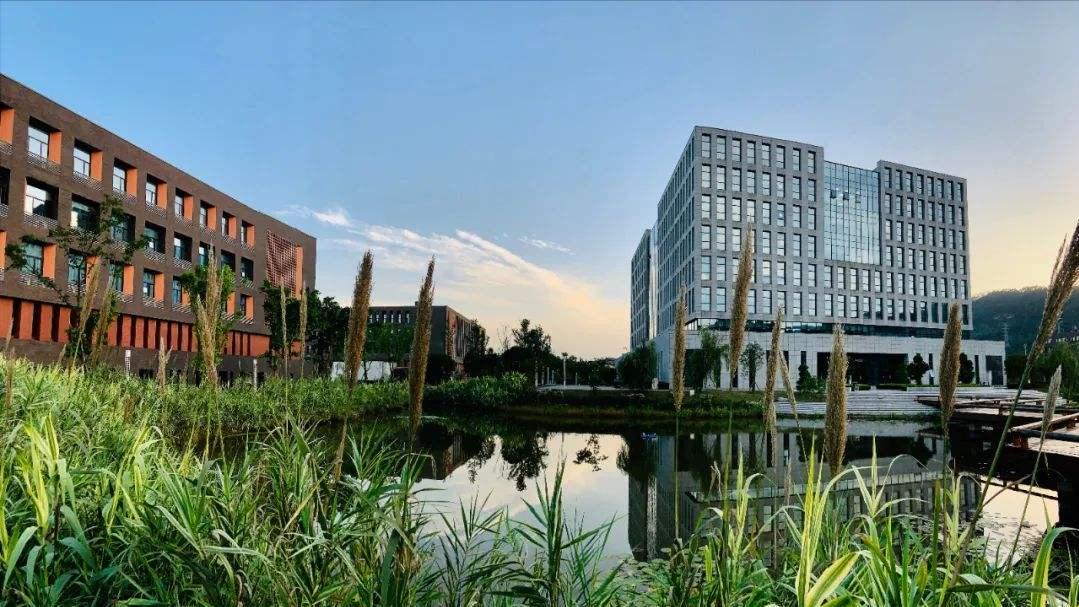 本科毕业生9346人，两学科门类占74%，西华大学2021就业报告详解