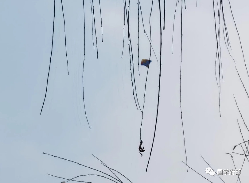 风筝，最美春日诗词