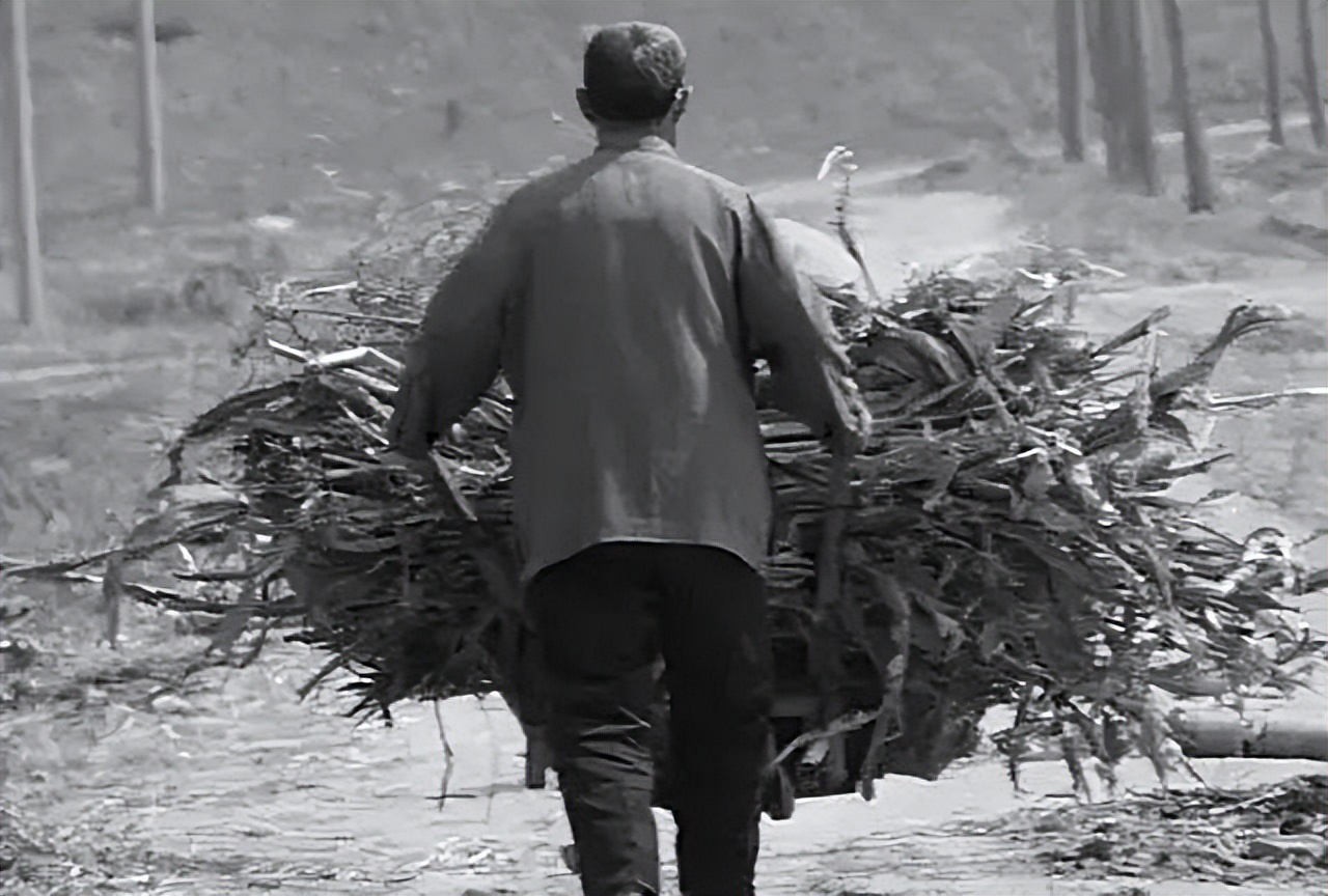 武汉三口之家：父女三人无血缘，父亲不是亲生的，妹妹不是亲妹妹