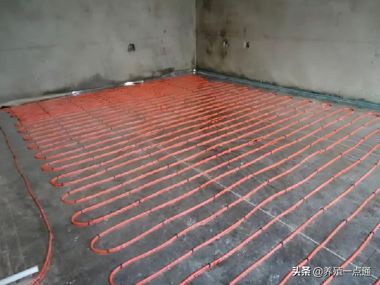 散養(yǎng)雞舍,