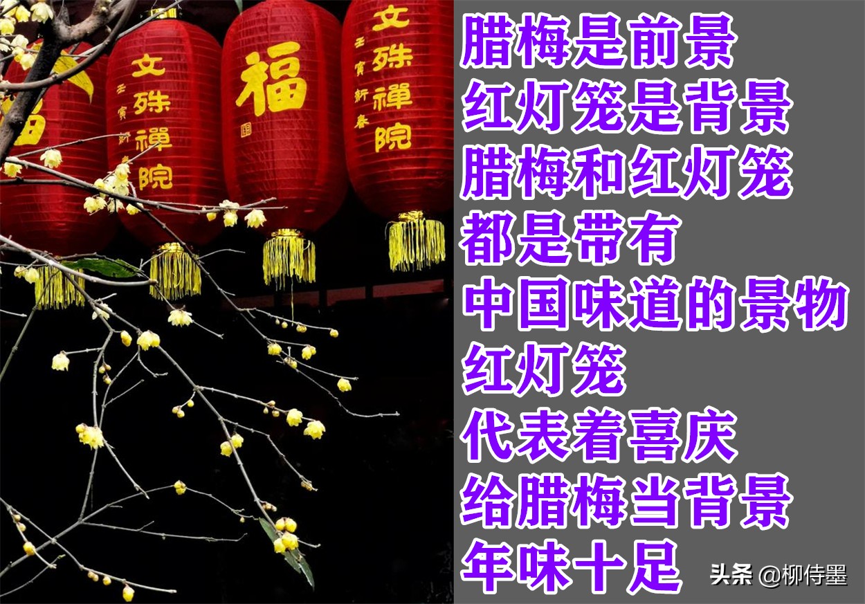 摄影新手学点“高级”的，把普通花朵拍摄出诗意美，照片更有意境