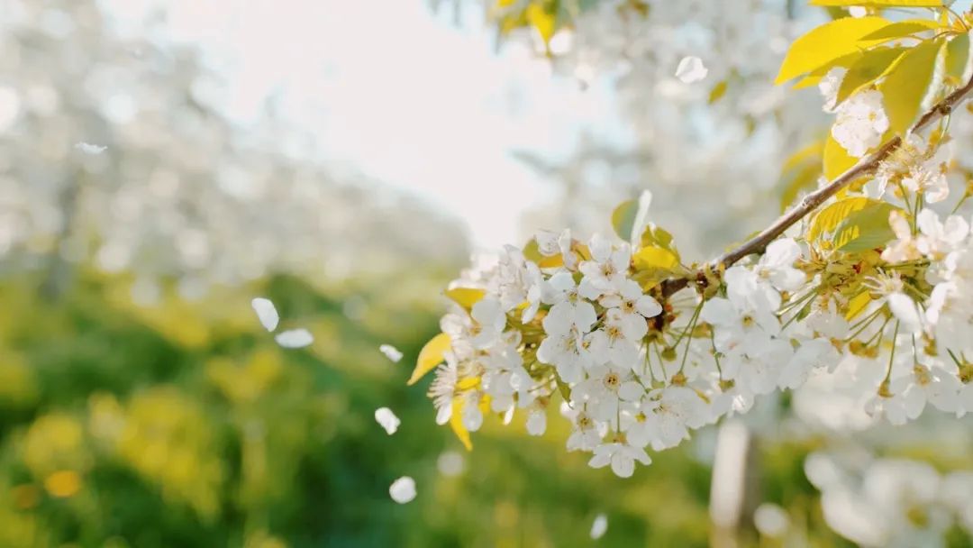 侯<a href=http://www.cngansu.cn/news/ target=_blank class=infotextkey></a>ܶӡӪ̨ • ߹¡ɫ԰Ƿ﷫ʱ