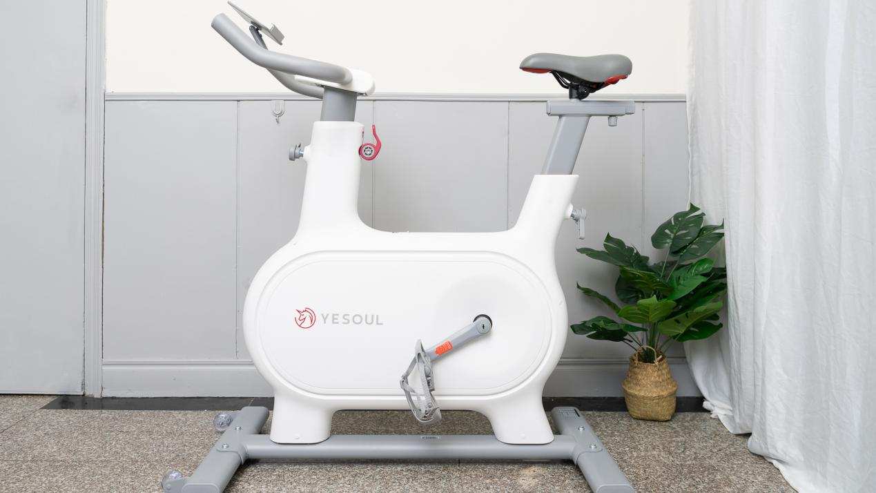 野小兽m2动感单车+健腹轮+健身手套—我的减重装备+饮食清单