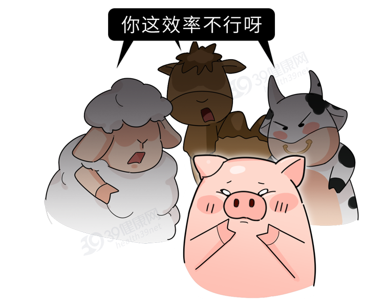 “猪奶”是什么味道？为什么没人喝？其实，它的营养比牛奶还要高