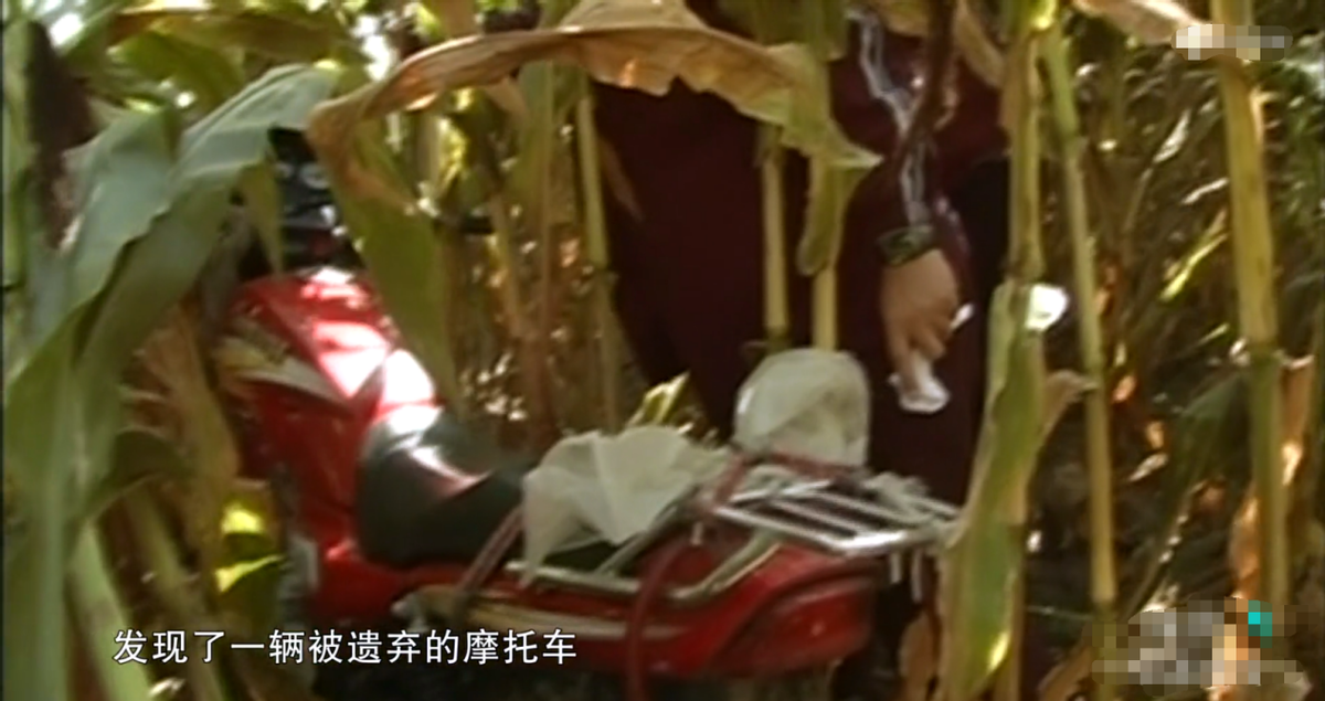 2009年，杀人狂魔王厚军持枪与武警对射，被武警当场击毙