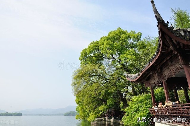 苏轼雨中泛舟西湖，天晴后写下两首诗，被评为西湖最美的评语