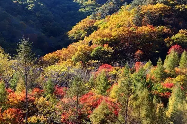 祖國最美的150座秀美名山