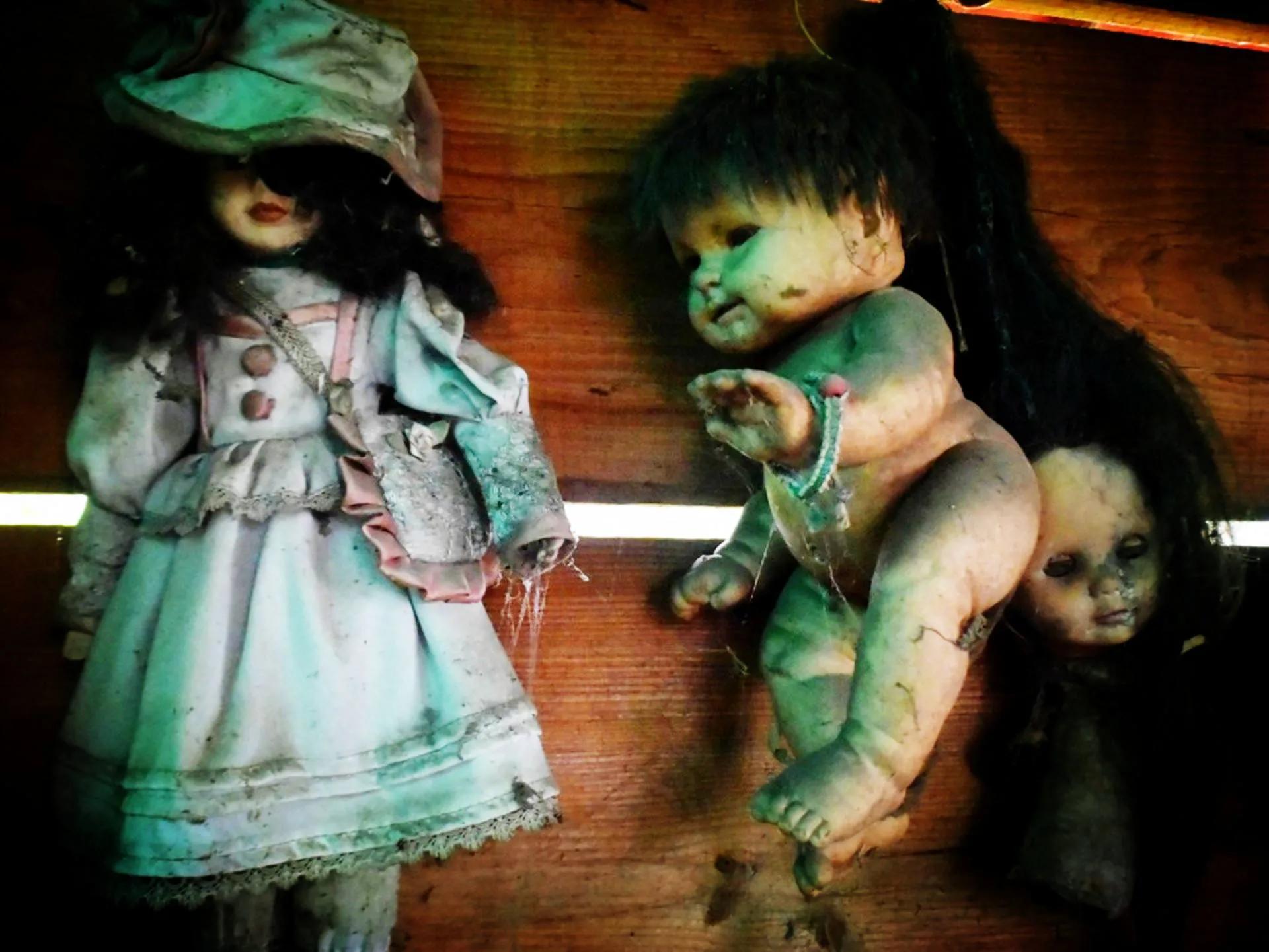 恐怖的娃娃岛电影图片