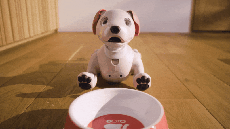 以后陪伴我们的，可能会是超可爱的索尼机器狗