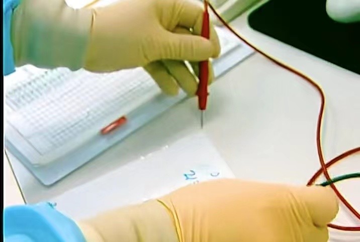 日常生活的鋰電池是如何制造的？