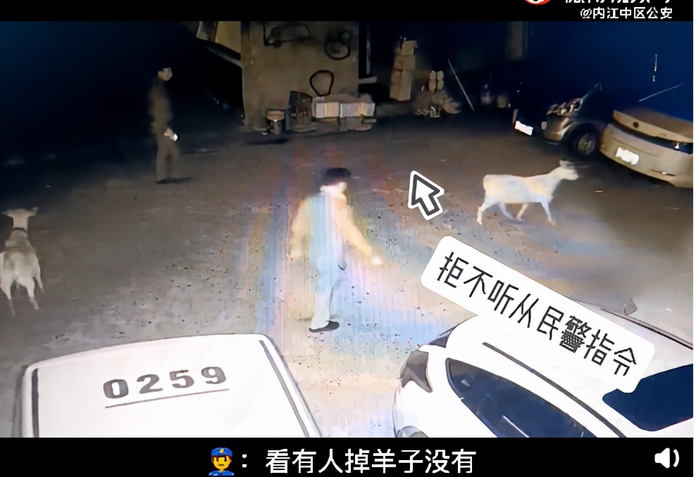 内江民警帮大爷找回走失山羊，次日收到羊汤，网友评论：下次别找了