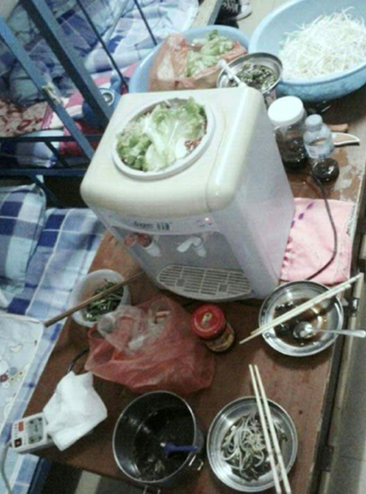 养猫养狗不算啥，大学生寝室“奇葩”违禁品，真是令人大开眼界