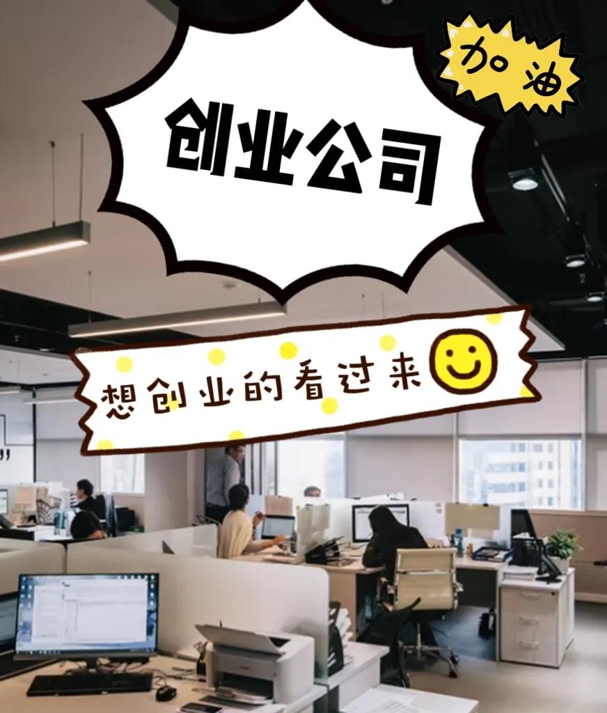 创业公司（代写商业计划书）