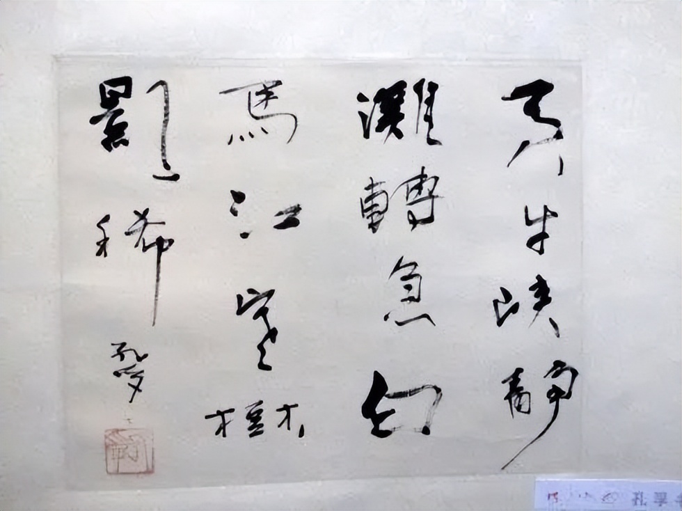 纪念孔孚 自曲阜、济南来，必将走向世界和未来——访谈孔德铮大姐