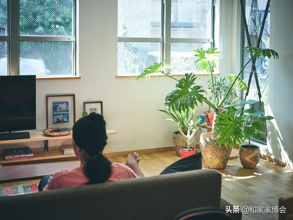 绿色植物助力“邻里关系”| 美式风格的老房翻新装修