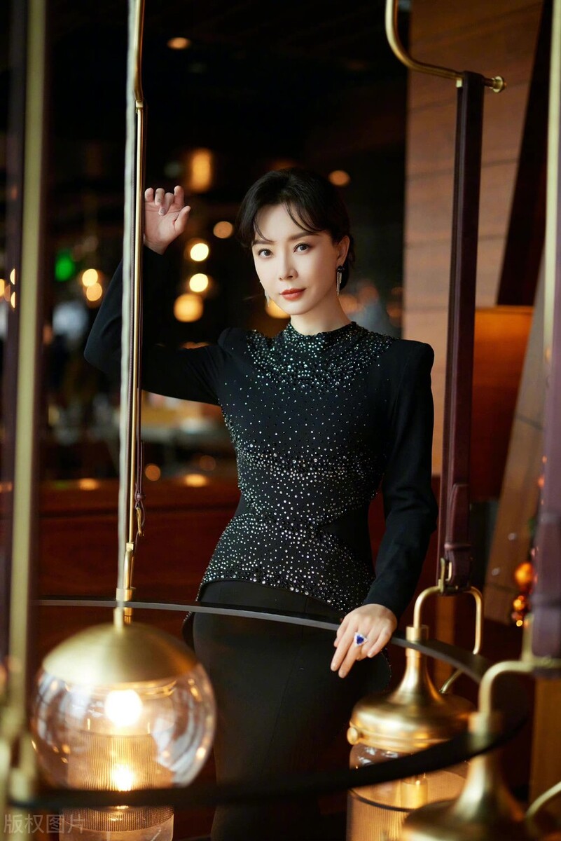 貌美如仙陈数