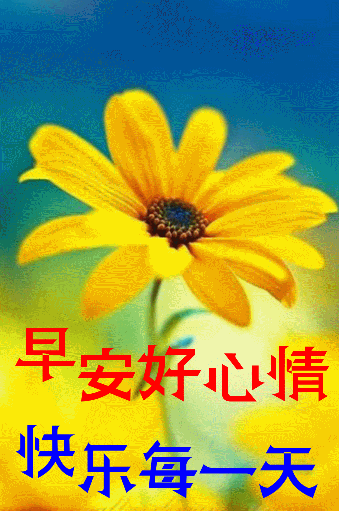 早安祝您安康快乐，愿你如诗，未来可期