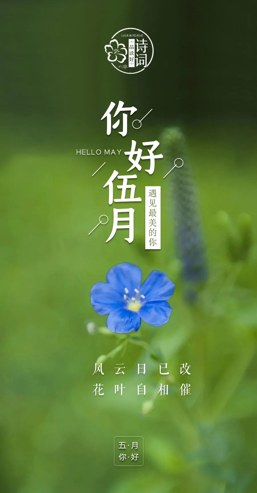 美文美图-五月,你好 | 愿一切美好如期而至,愿你活出自己的精彩