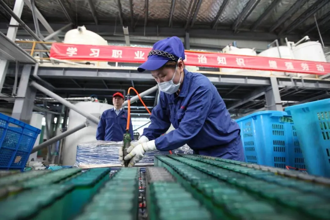 电动车换电瓶选哪个品牌好？优质电瓶推荐指南