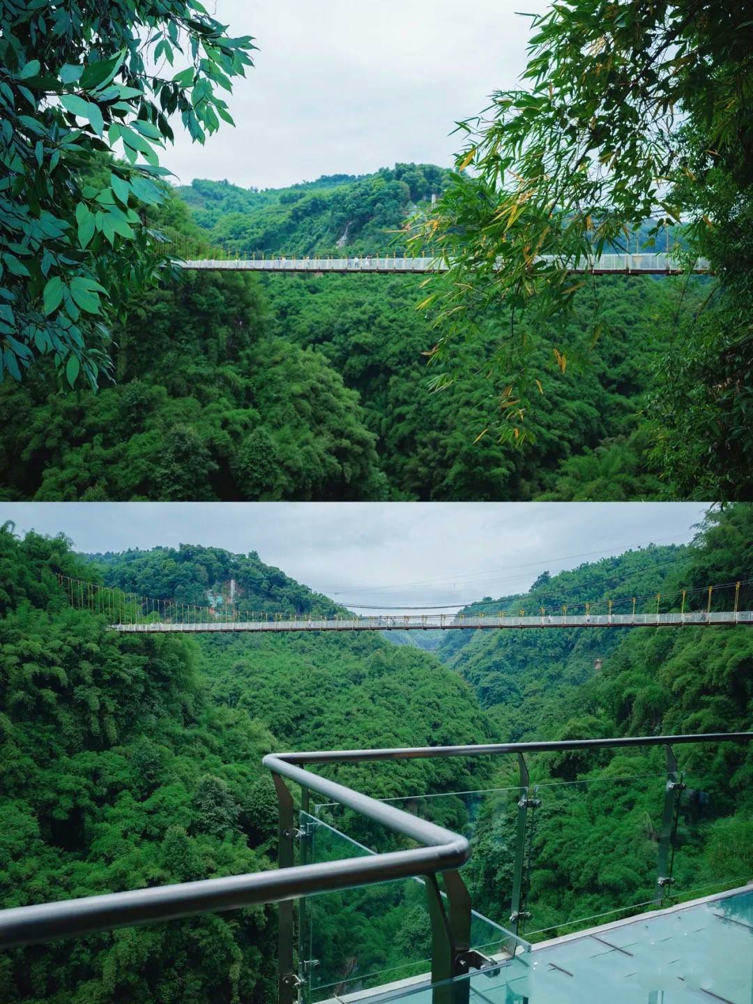 川西竹海玻璃棧道門票多少錢(成都周邊) - 價格百科