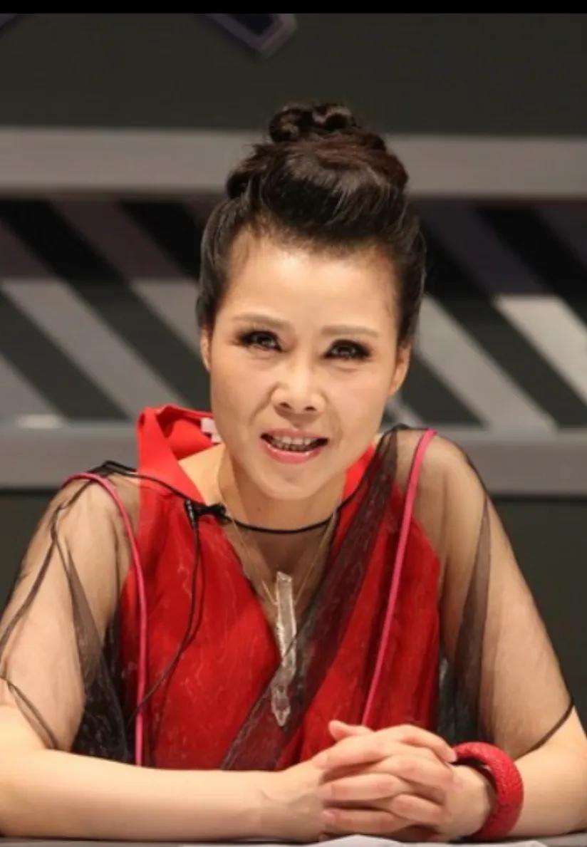 田震，15张精美的照片