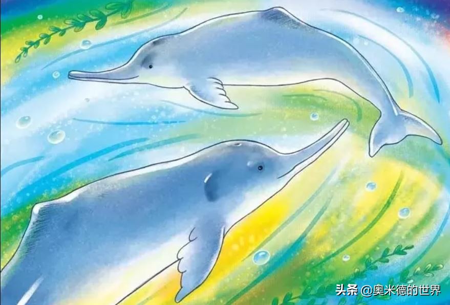 十种因人类活动而灭绝的动物，再见“长江女神”白鳍豚