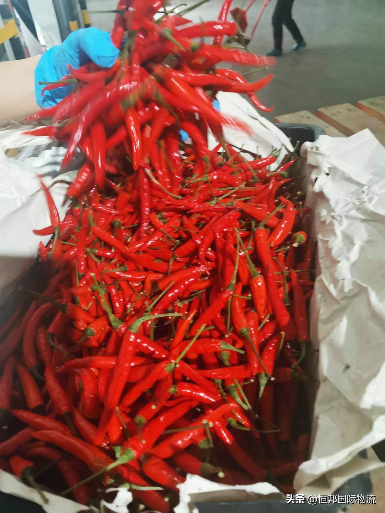 操作缅甸鲜辣椒进口到深圳妈湾港清关流程