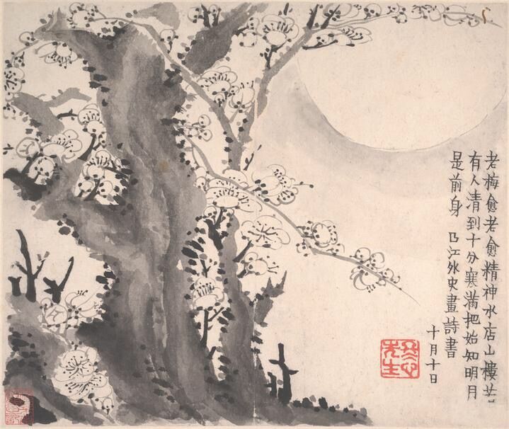 冰雪林中著此身，不同桃李混芳尘——梅花风骨，一枝独开天下春
