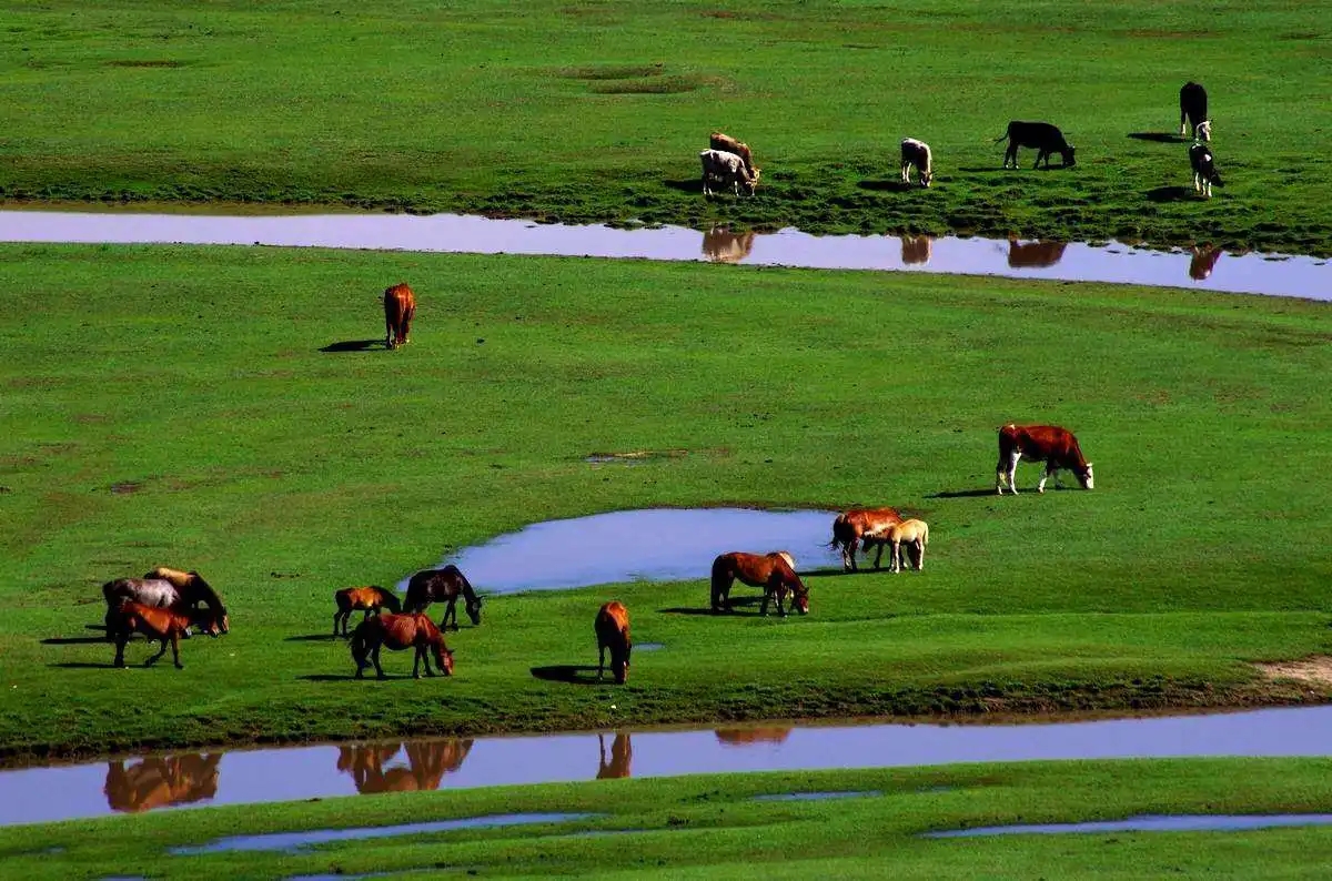 藏在河北的宝藏景点，我不允许还有人不知道