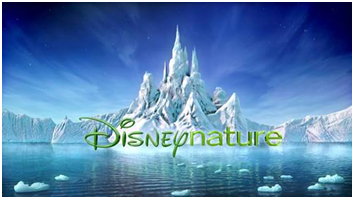 美国主要电影制片公司和发行、投资公司