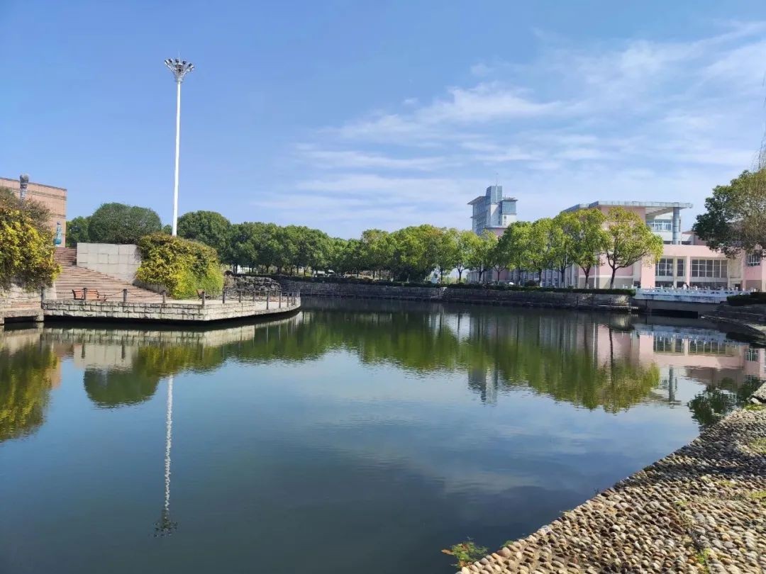 短短一年，南京这所高校：接连斩获国家级、国际级大奖，实力超强