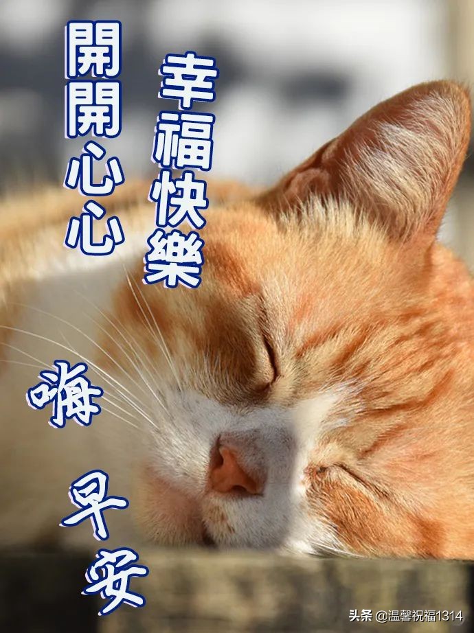 4月26日清晨早上好问候寄语,愿天天好心情快乐每一天!事事顺心