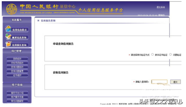 银行信用记录查询,银行信用记录查询网