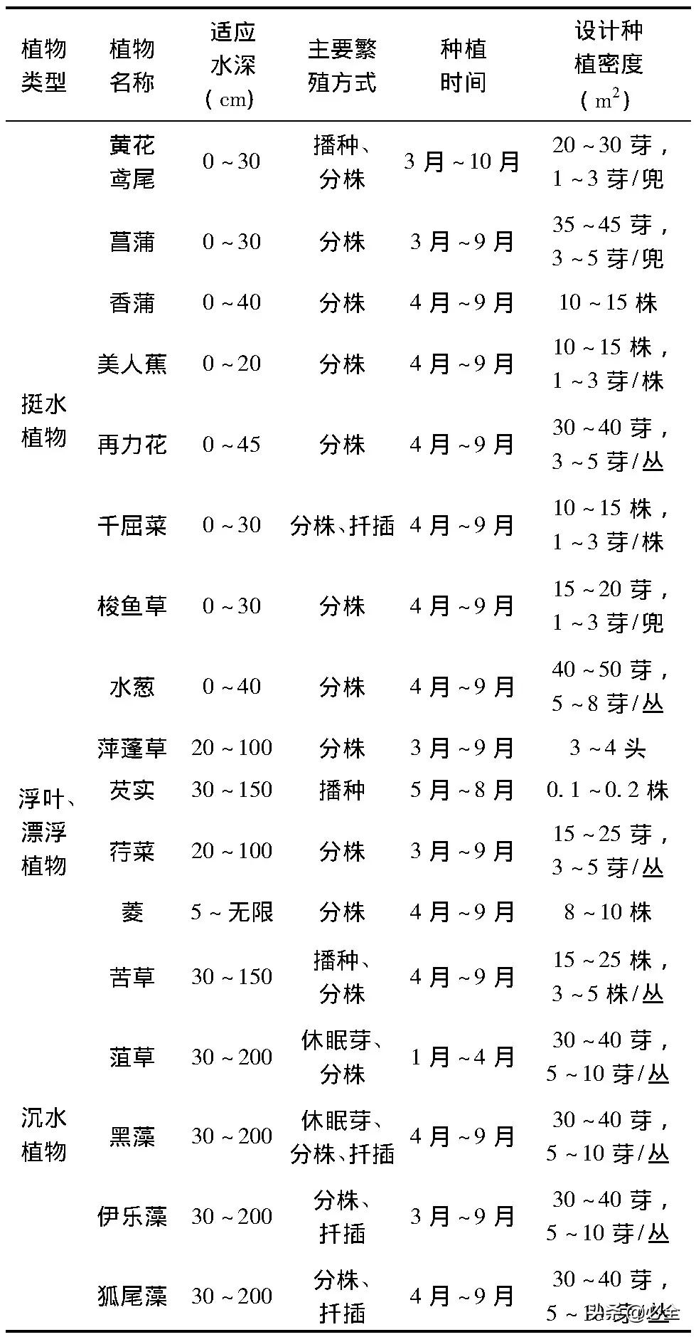 水生植物景观(园林景观中常见的水生植物)