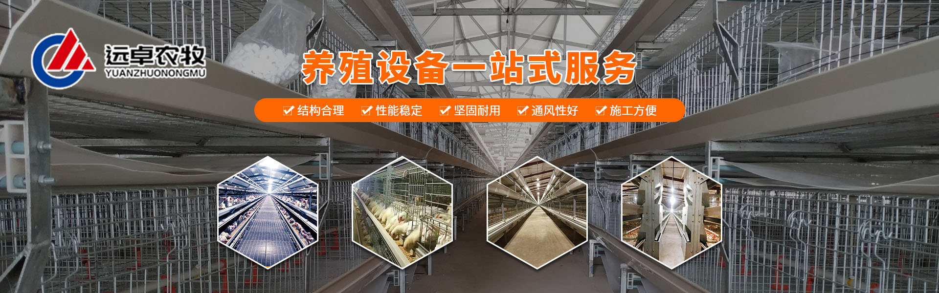 夏季高溫季節(jié)蛋雞養(yǎng)殖環(huán)節(jié)，遠(yuǎn)卓農(nóng)牧為您解析魚(yú)肝油的應(yīng)用